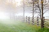 Fence In Fog_P1180530